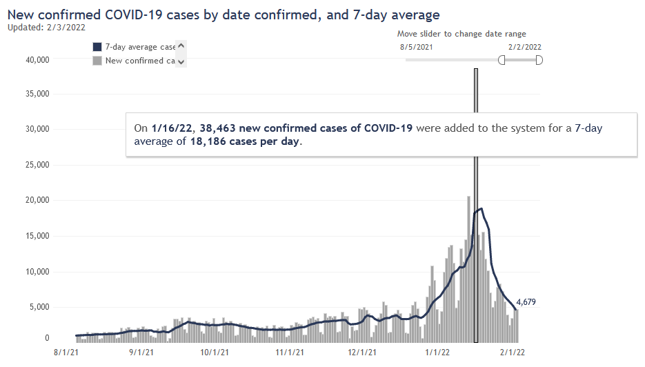 Cases by report date