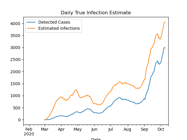 True infection estimate